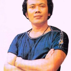 BIARKAN AKU PERGI -  RHOMA IRAMA (album pop bersama zainal combo band)