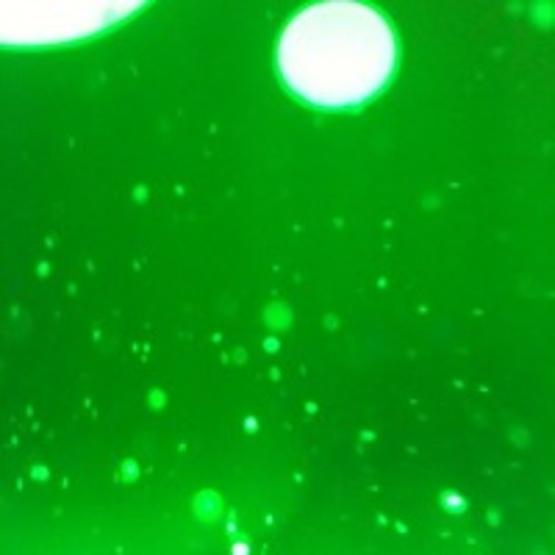291012 - self playing euro modular loop