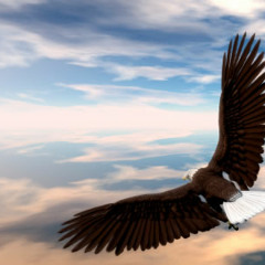 Jean Claude Ades Vs Jerome Isma Ae - Fly Away Miura - (ATZ Bootleg)