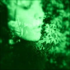 Cross Record «Not Quite White Light (logan keller's black out mix)»