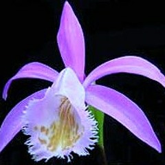 KASH - On The Floor... 4 november 2012