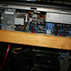 Squidbillies got shrim