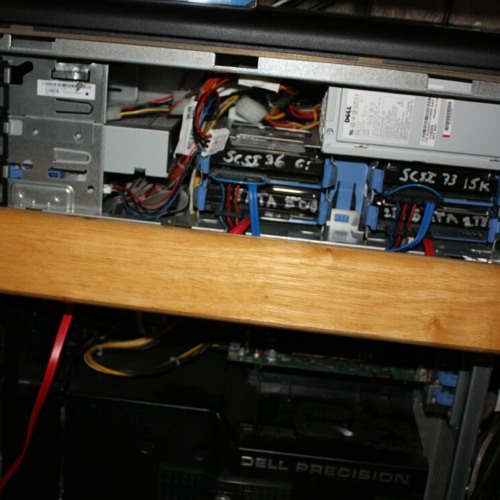 Squidbillies got shrim