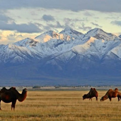 Бурхан Буудай" МУГЖ С.Ганзориг
