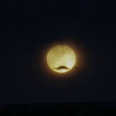 Live at Sanguine Moon FMG -- October 2012 (Free Download)