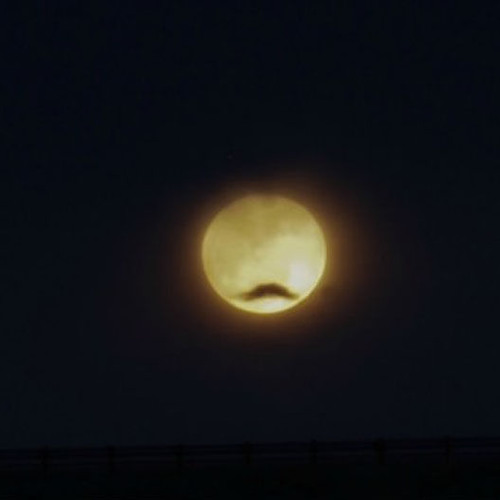 Live at Sanguine Moon FMG -- October 2012 (Free Download)
