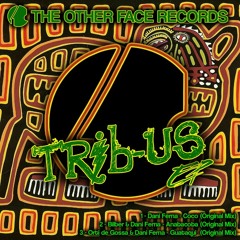 Tribus EP Dani Ferna & Bilber - Anabacoba (original mix) The Other Face Records