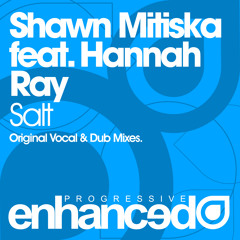 Shawn Mitiska feat. Hannah Ray - Salt (Original Mix)