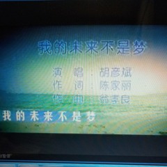 我的未来不是梦 (胡彦斌)
