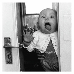 Window Licker