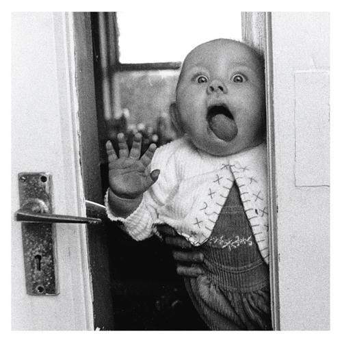 Window Licker
