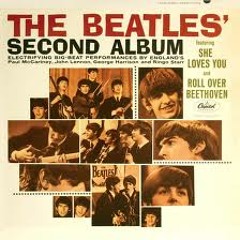 "You Really Got a Hold on Me"  - The Beatles (vinyl)