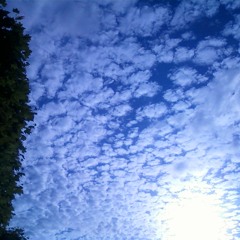 Gwada in war-Dspecta ( West in dies rise riddim) - Black Bird prod (master)