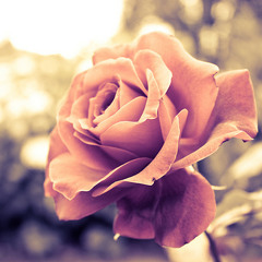Omar khairat ♪ ♫ ♪ ♫  Wonderful music