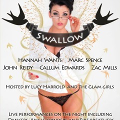 SWALLOW MIX BY HANNAH WANTS