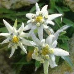 Rumours (prod. Sam Zircon)