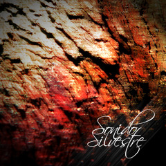 Down The Hill - SONIDO SILVESTRE