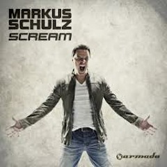 Markus Schulz - The Perfect New World (Markus Schulz mashup)
