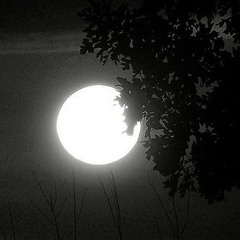 WAITIN FOR THE NIGHT TO DIE