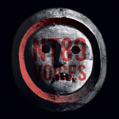 NT89 - Voices