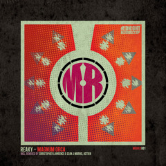 Reaky - Magnum Orca (Short Mix)