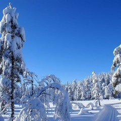 Bustre Ft.Myth - One Last Time (Wandering Flame)