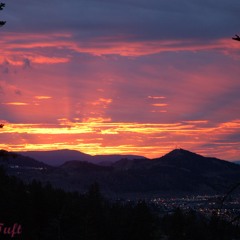 I Peter 2 3-9 A Royal Priesthood- A Chosen Nation!