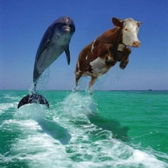 EdgarGeme & Narra DV - Aunque digan (Flying High)