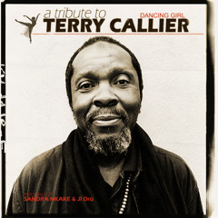 A tribute to Terry Callier - Dancing Girl