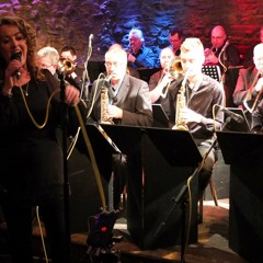 Caught a Touch of Your Love - Dizzy Hack & The Rhino Horns (ambient live and unedited)