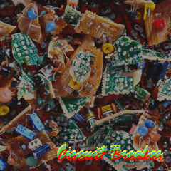 The Last Song (Prod. By MF Doom)