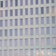 1261 feat. moth-cough