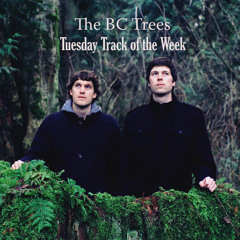 Lyric Leaves - Tuesday Track of the Week (7)
