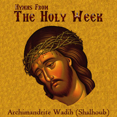 16-Today-Is-Suspended-On-A-Tree-Tone-8-05-25