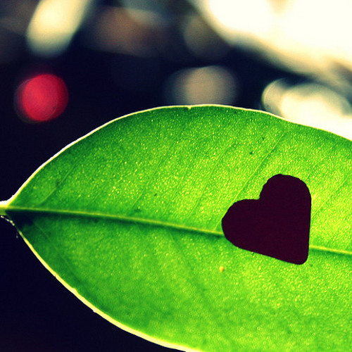 كيف لي - عبير نعمة