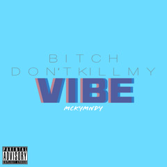 Bitch Don't Kill My Vibe