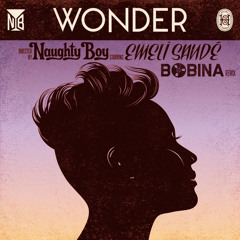 Naughty Boy feat. Emeli Sande - Wonder (Bobina Remix)