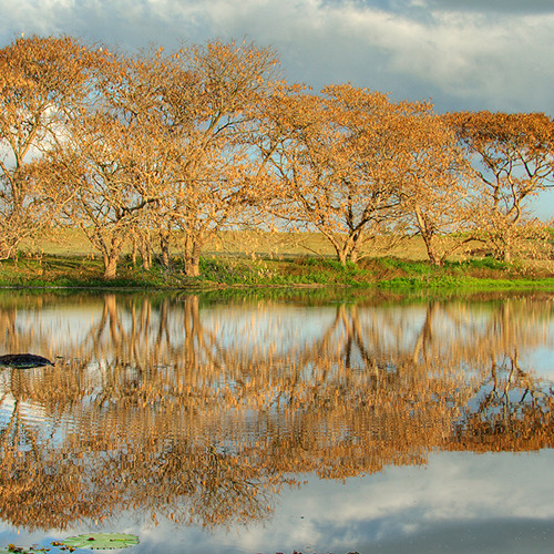 Burak Harsitlioglu - Forever Alone
