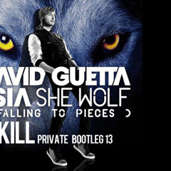 David Guetta feat Sia - She Wolf ( F.KILL Private Bootleg 13)