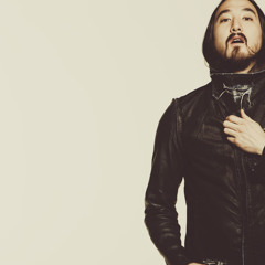 Steve Aoki - BBC Radio 1 Essential Mix 2012