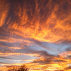 something a lil phunky