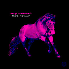IM015 - Troy Gunner - Masks/The Valley  12"/Digital (Out Now!)