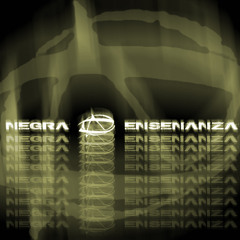 SIN PARAR ''DON'T STOP'' (2008)