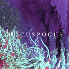 H O C U S P O C U S - S E C R E T E  S E C R E T S [ B U Y L I N K I S F R E E! ]
