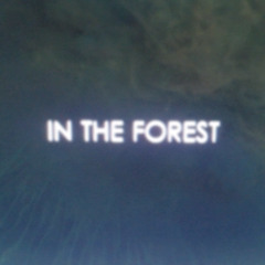 in the forest