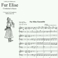 Fur Elise - Beethoven (keyboard cover)