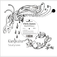 Chris James - Kind Of Heavy (Klangkultur Schallplatten)