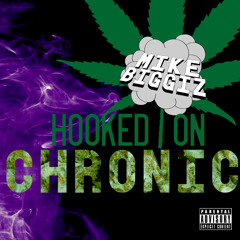 Stone Cold Stunner-Mike Biggiz Feat. Bag Of Tricks Cat and Samuel L. Jackson