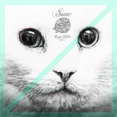 Max Noize - Flip To Old School (Coyu Edit) // Suara