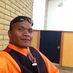 ninja joe